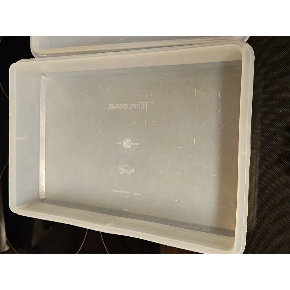 Vintage Tupperware Handolier #290 Sheer Rectangle Keeper With #291 Lid READ